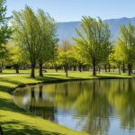 401k Alternative Investments Rule Proposed by Labor Department