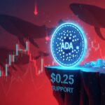 Cardano Price Tests $0.25 Support as Long Liquidations Mount: Will It Crash?