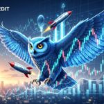 Blue Owl Shares Surge on Massive SpaceX Gains