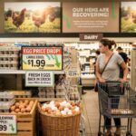 Egg Prices Plunge in 2026: Oversupply Hits After Bird Flu Shortages