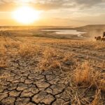 US Megadrought 2026: Historic Dry Start Threatens Wheat and Beef Supplies