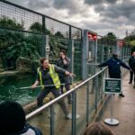 UK Toddler Crocodile Attack Suspect Freed on Bail Sparking Public Fury
