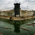 Israel Advances Controversial Crocodile Prison Security Plan