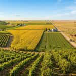 Which US States Produce the Most Food in 2024