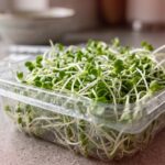 Alfalfa Sprouts Outbreak Triggers Infections In 15 States