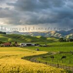 Best Hedge Against El Niño Food Supply Shocks