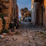 Ceuta Cat Colonies Vanish After Migrant Influx Reports