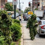 Creative Police Tactics NJ Officers Disguised as Bushes Target Distracted Drivers