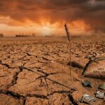 Global Food Crisis Warning: NextWriting the long-form article Shock Could Hit By 2027