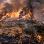 Global Wildfires 2026: Where The World Is Burning Now