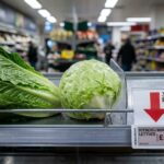 Lettuce Prices Crash Record Plunge After Cyclospora Scare