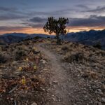 Los Alamos Lab Worker Death Raises Foul Play Questions