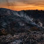 Palisades Fire Arson Charges Revised After Jury Mistrial