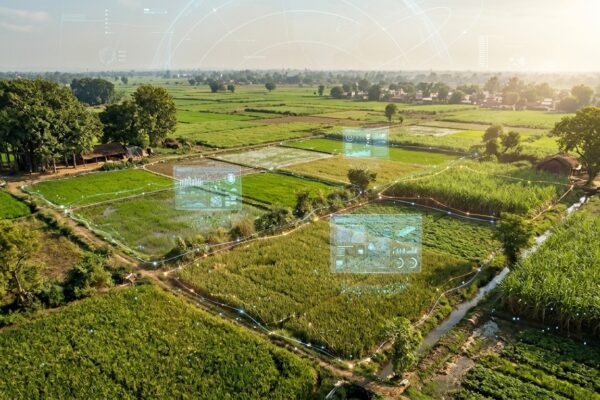Cardano Registers 100000 Indian Farms On Chain