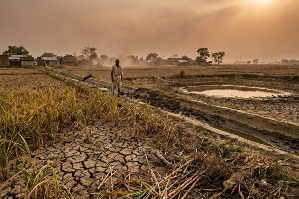 India El Niño Food Crisis And The Rural Economic Shock