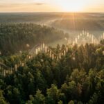 Rayonier Stock Deep Discount To Timberland NAV Explained